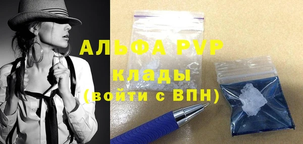 индика Краснотурьинск